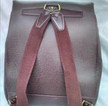 Load image into Gallery viewer, LOUIS VUITTON CASSIER PLUM TAIGA LEATHER BACKPACK
